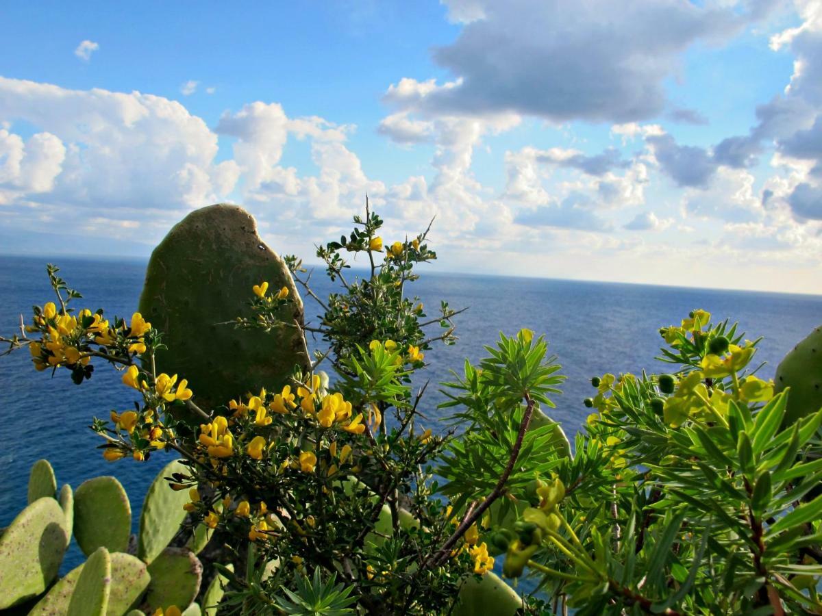 Casa Vacanze Miceli Tropea Luaran gambar